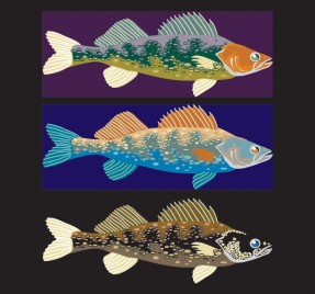 Surface Designer: Jamie Kalvestran - Pattern Observer